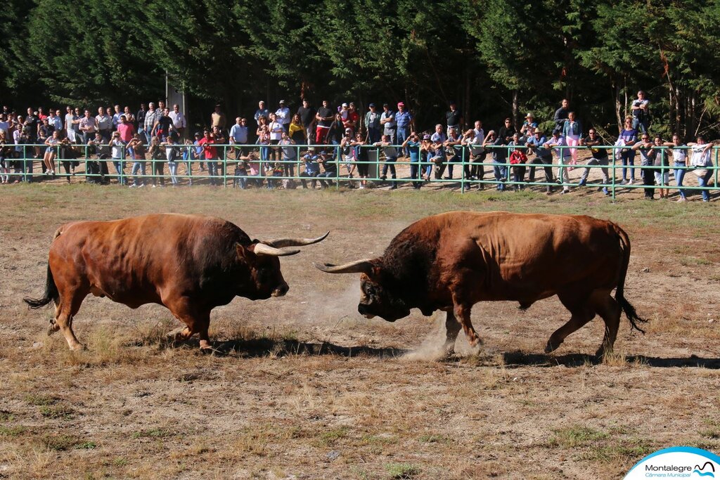 Torneio Chegas de Bois 2018 (3 e 4 lugares) (3)