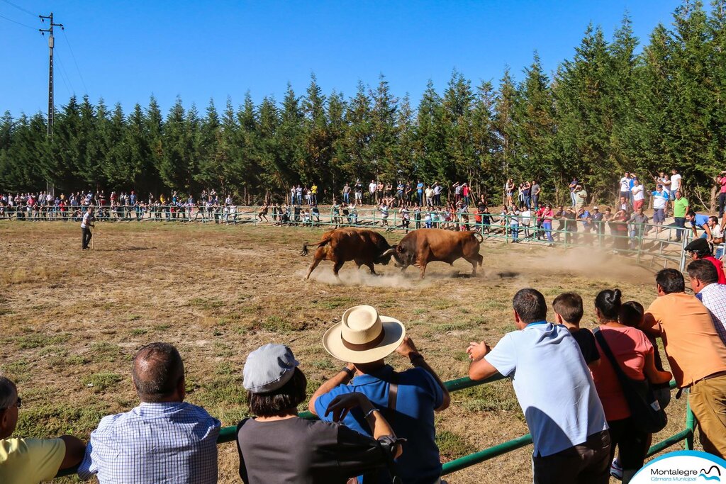 Torneio Chegas de Bois 2018 (3 e 4 lugares) (5)