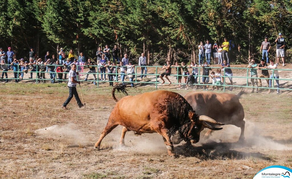 Torneio Chegas de Bois 2018 (3 e 4 lugares) (6)