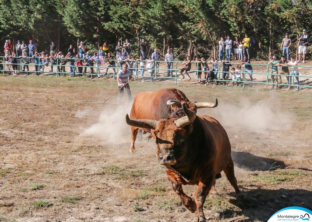 Torneio Chegas de Bois 2018 (3 e 4 lugares) (7)