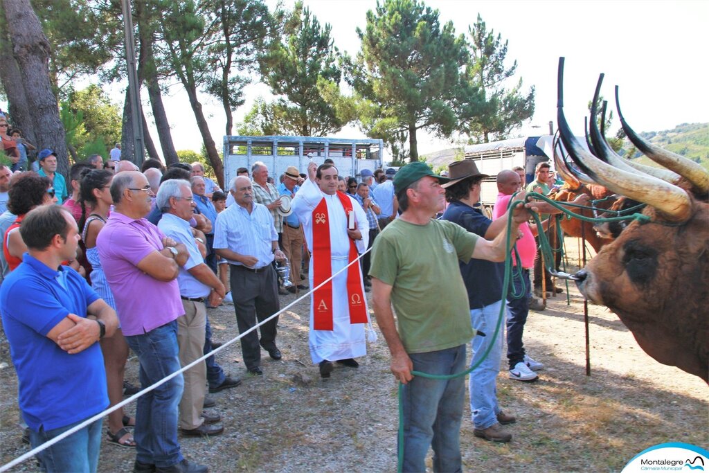 FERRAL - 67º Concurso Pecuário de Raça Barrosã (5)