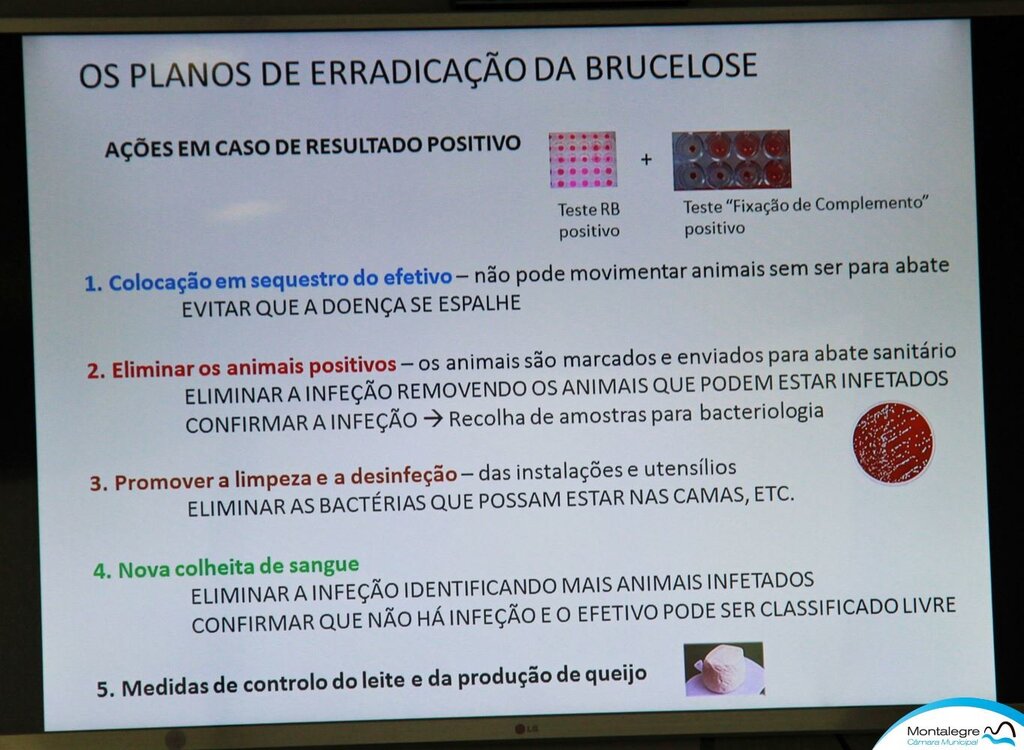 montalegre___brucelose_em_debate__10_