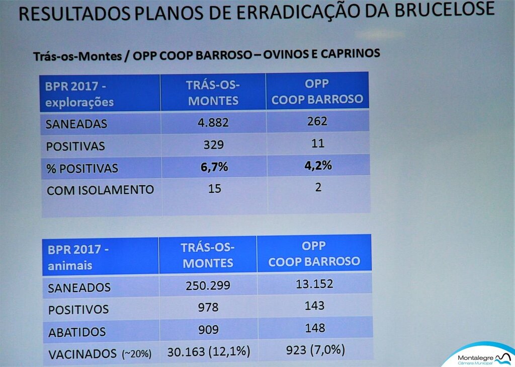 montalegre___brucelose_em_debate__11_