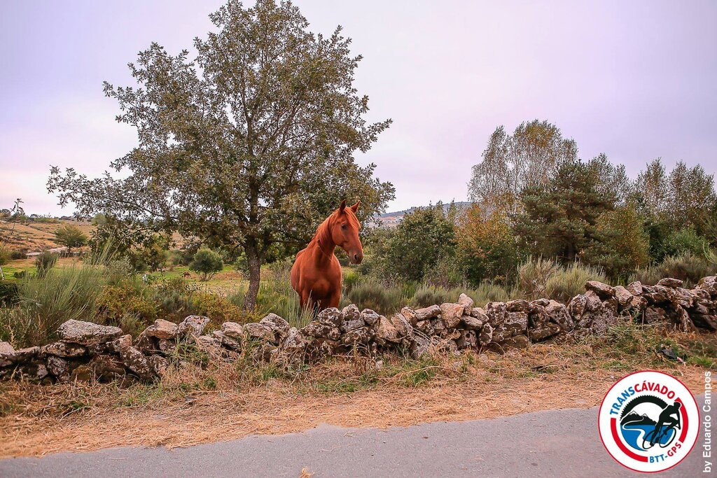 III TRANSCAVADO - Concelho de Montalegre (36)