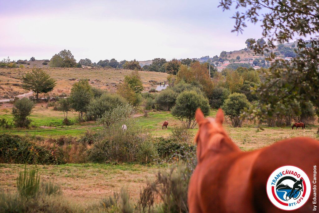 III TRANSCAVADO - Concelho de Montalegre (39)