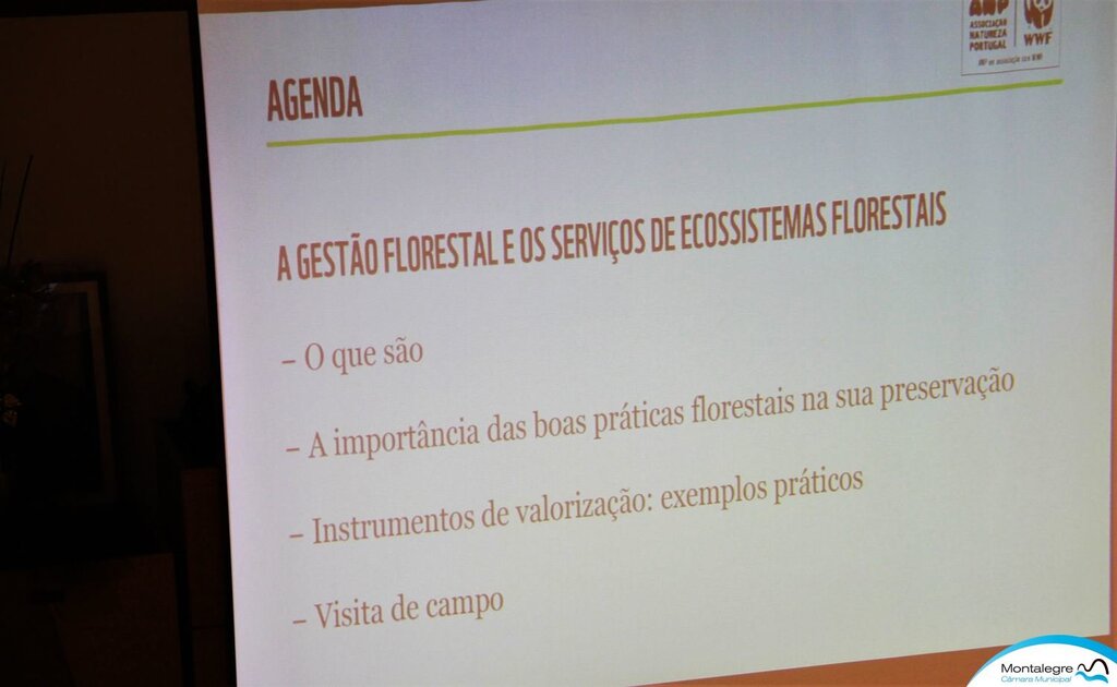 MONTALEGRE - Worshop Gestão Florestal (7)