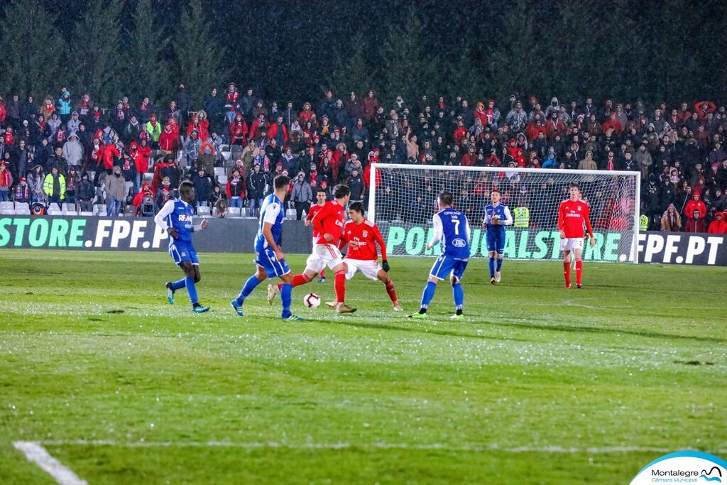 Montalegre-Benfica (260)