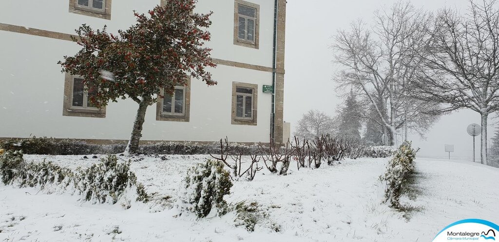 montalegre__neve___01_02_2019___10_