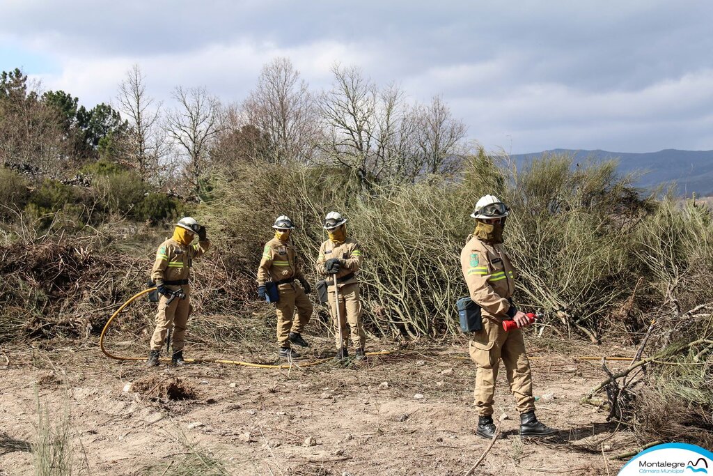 Montalegre (Floresta Segura 2019) (33)