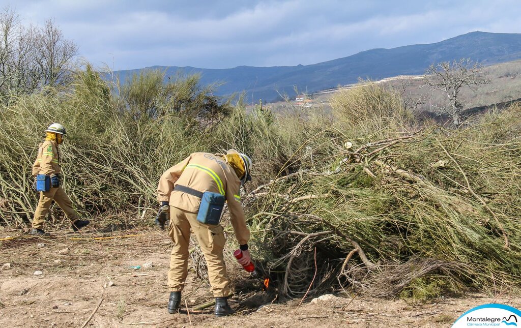 Montalegre (Floresta Segura 2019) (34)