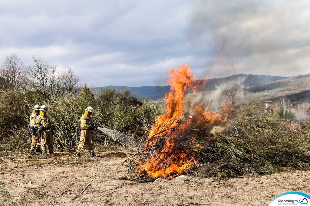 Montalegre (Floresta Segura 2019) (36)