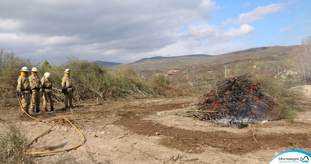 Montalegre (Floresta Segura 2019) (41)