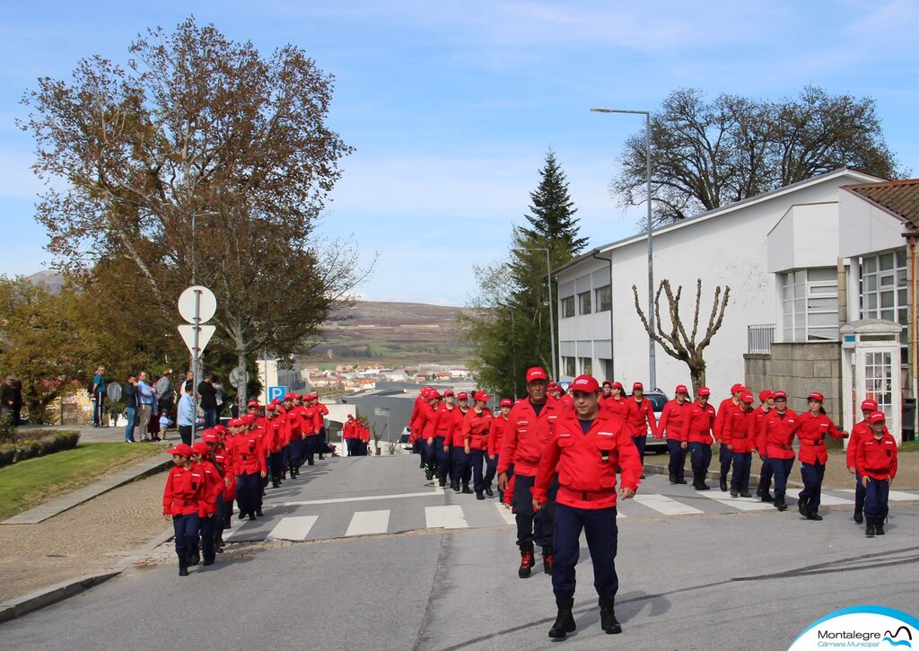 montalegre__dia_do_bombeiro_no_distrito___2019___38_