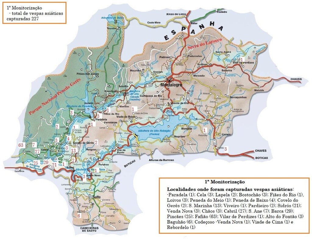 MONTALEGRE - 1.ª Monitorizações da Vespa Velutina (Mapa)