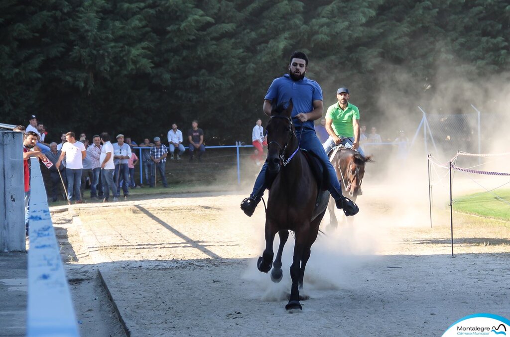 montalegre__corrida_de_cavalos_2019___4_