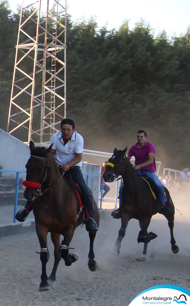 Montalegre (Corrida de Cavalos 2019) (26)