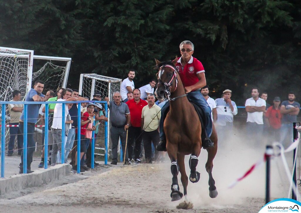 Montalegre (Corrida de Cavalos 2019) (30)