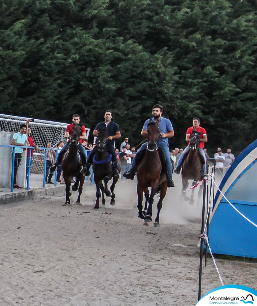 Montalegre (Corrida de Cavalos 2019) (32)