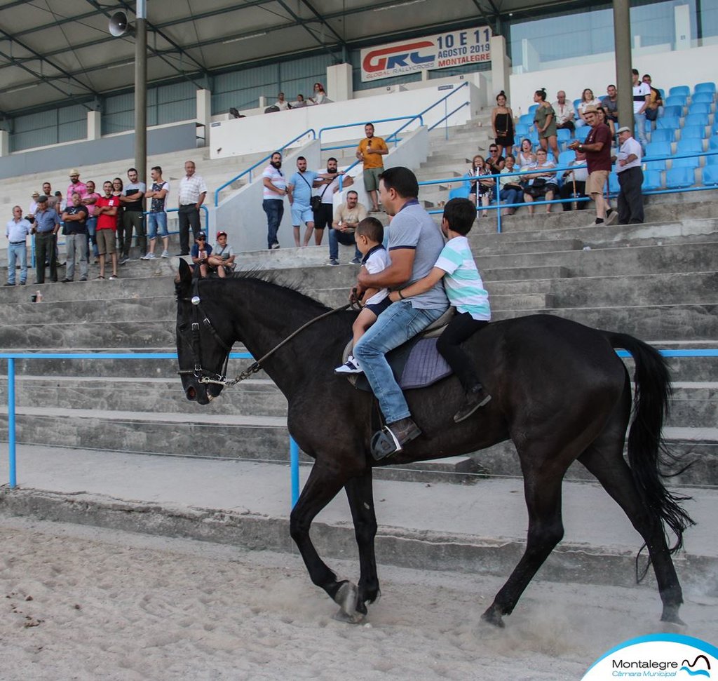 Montalegre (Corrida de Cavalos 2019) (31)