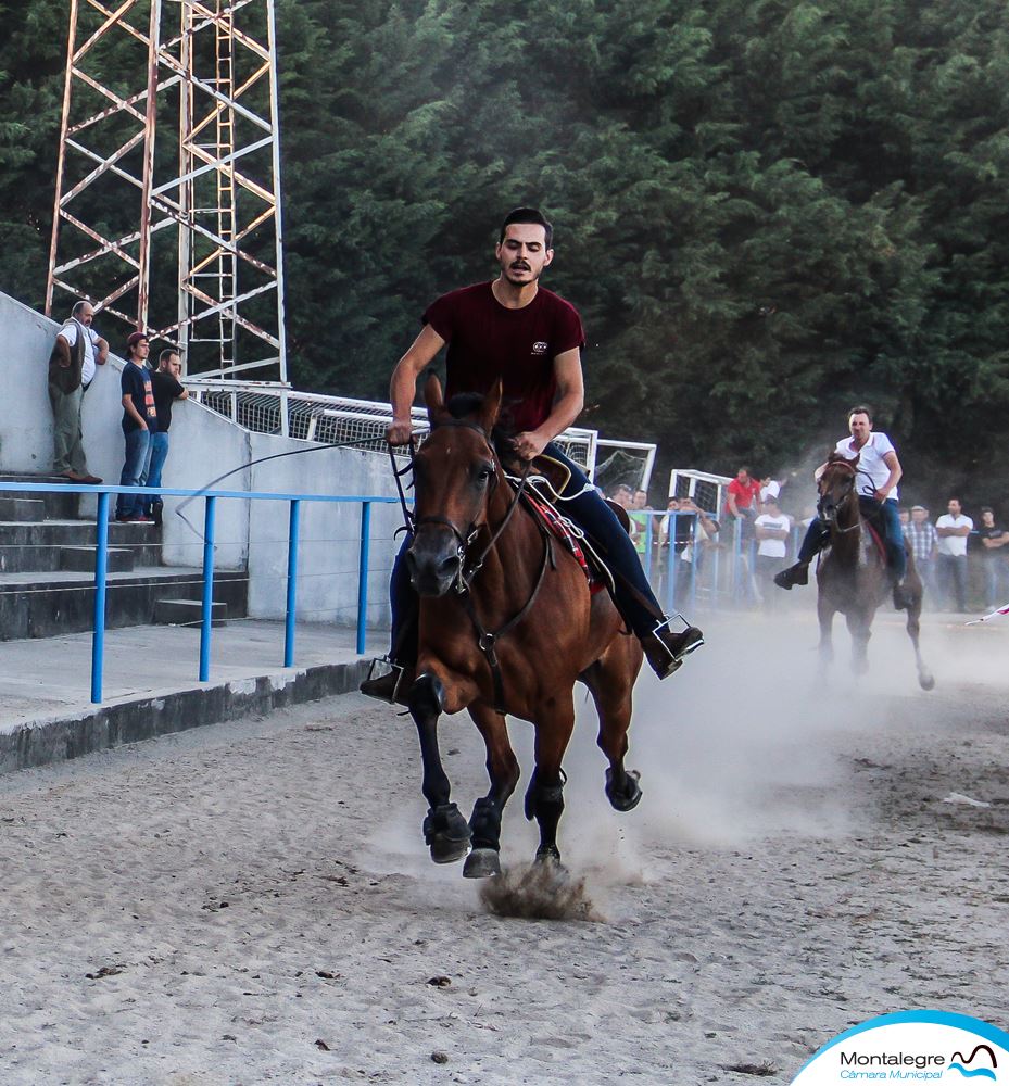 Montalegre (Corrida de Cavalos 2019) (29)