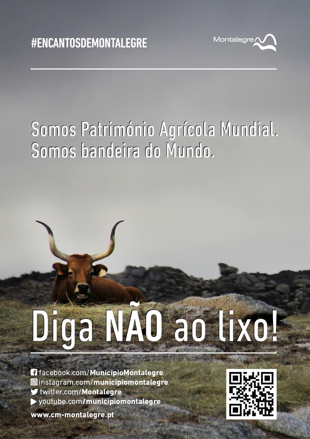alertas2