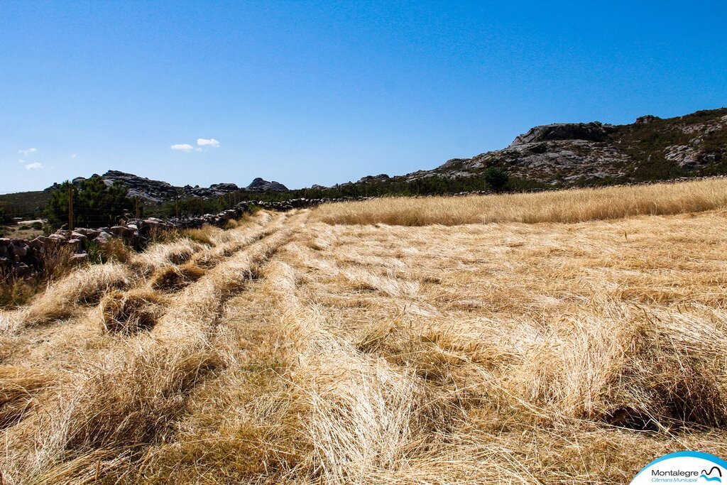 cabril__currais_de_lagoa__segada_2020__7_