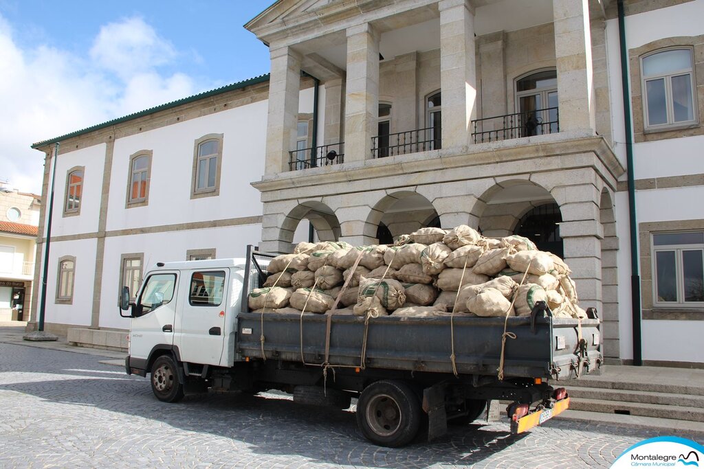 montalegre___municipio_oferece_batata_ao_banco_alimentar__2_