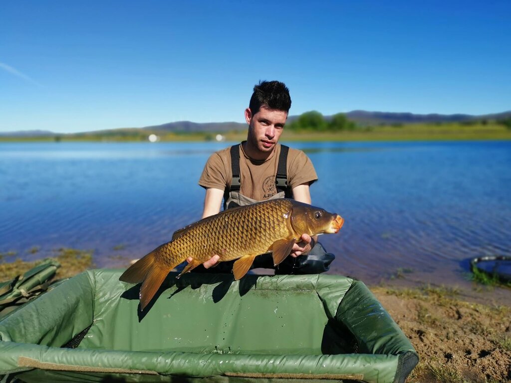 VI Pisões Carp Classic (23)