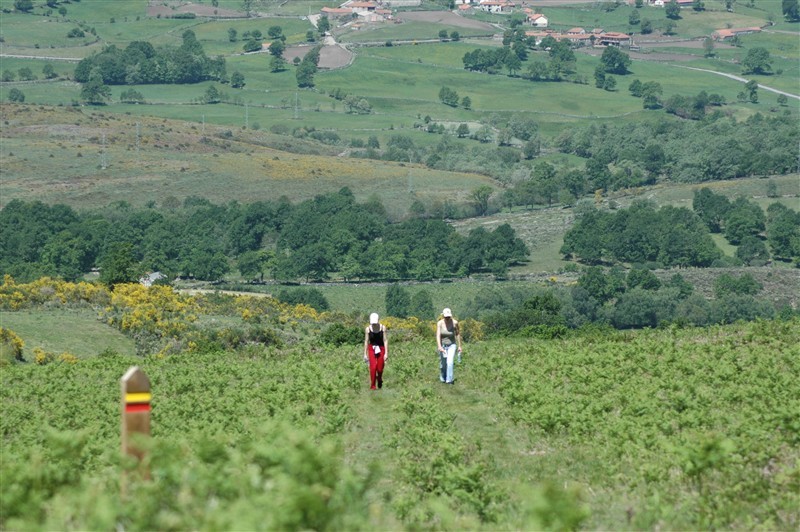 VI Carrilheiras de Barroso