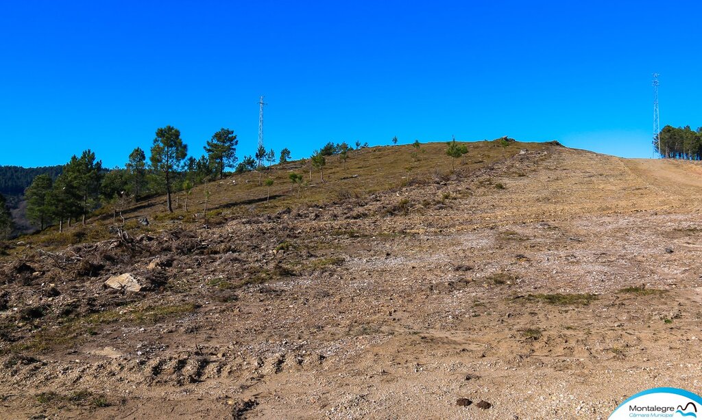 tabuadela__gestao_do_fogo_rural__visita__6_