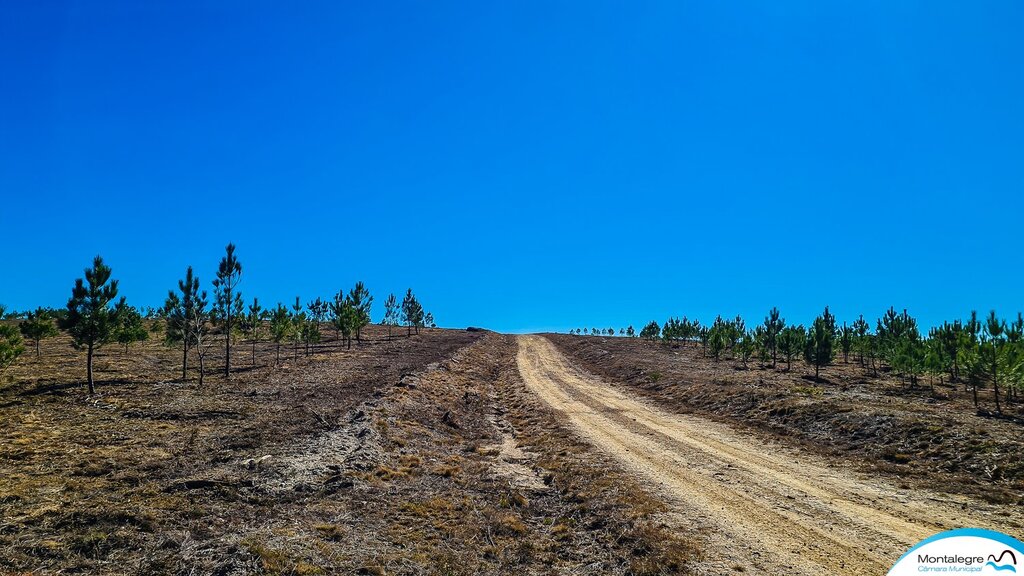 carvalhais__gestao_do_fogo_rural__visita__2_