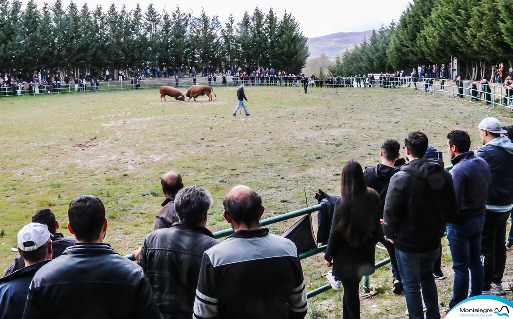 Campeonato Chegas de Bois 2022 (8)