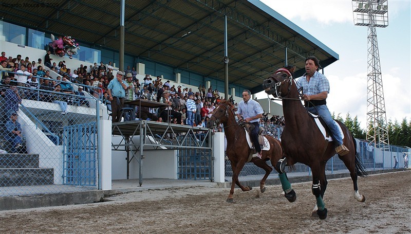 Corrida de Cavalos 2009 (fotos)