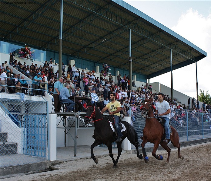 Corrida de Cavalos 2009 (fotos)