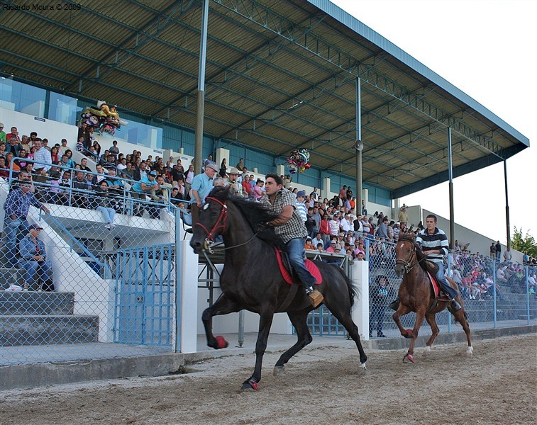 Corrida de Cavalos 2009 (fotos)