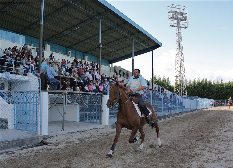 Corrida de Cavalos 2009 (fotos)