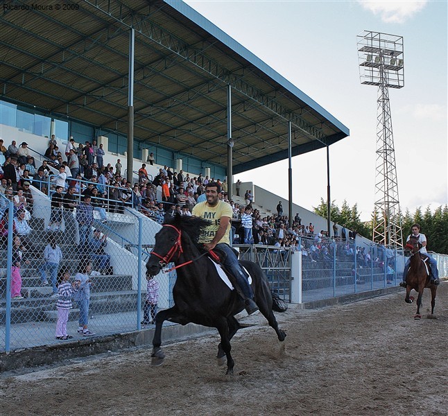 Corrida de Cavalos 2009 (fotos)