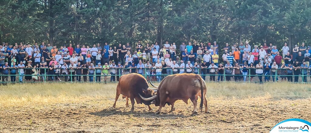 Torneio Chegas de Bois 2022 (3 e 4 lugares) (1)