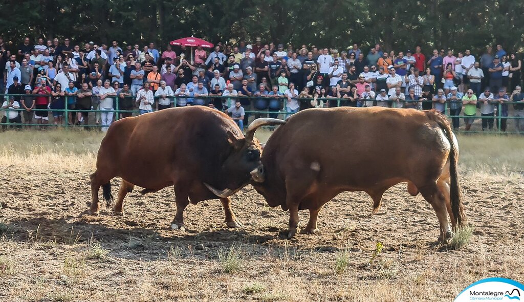 Torneio Chegas de Bois 2022 (3 e 4 lugares) (3)