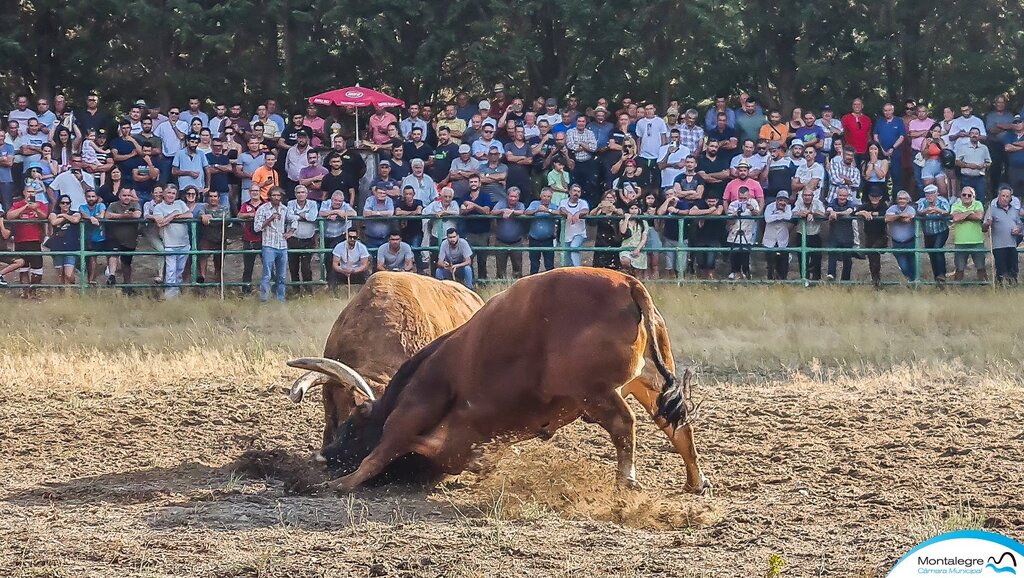 Torneio Chegas de Bois 2022 (3 e 4 lugares) (2)