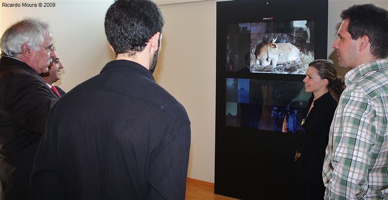 "Proximidade" em Montalegre