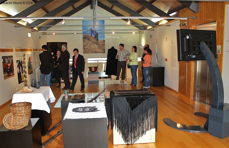 "Proximidade" em Montalegre