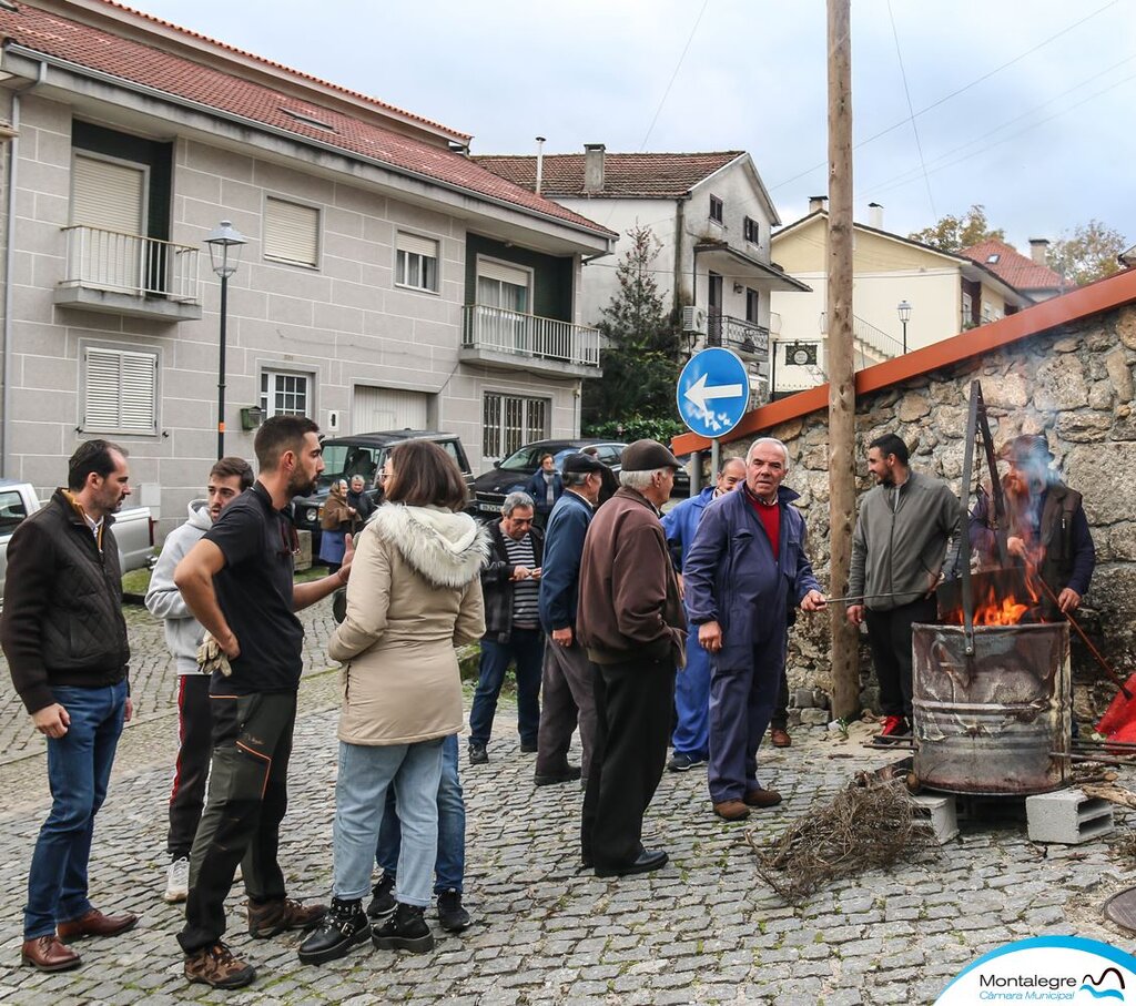 montalegre__magusto_2022___6_