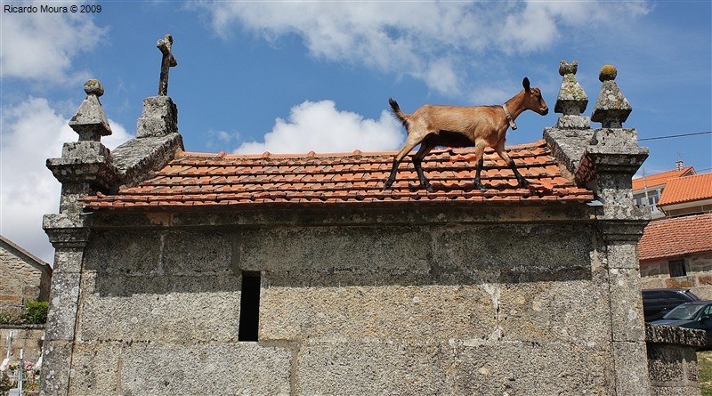 Segada e Malhada em Paredes do Rio