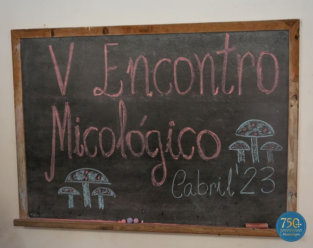 v_encontro_micologico__sao_lourenco__cabril___7_