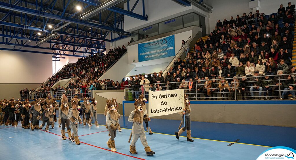 escolas_de_montalegre__carnaval_2024__desfile__18_