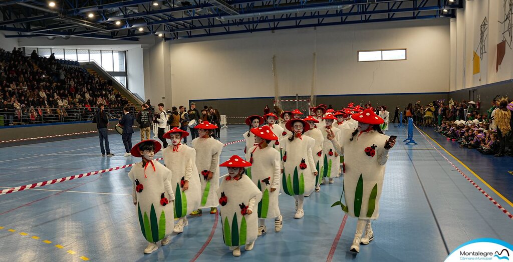 escolas_de_montalegre__carnaval_2024__desfile__19_