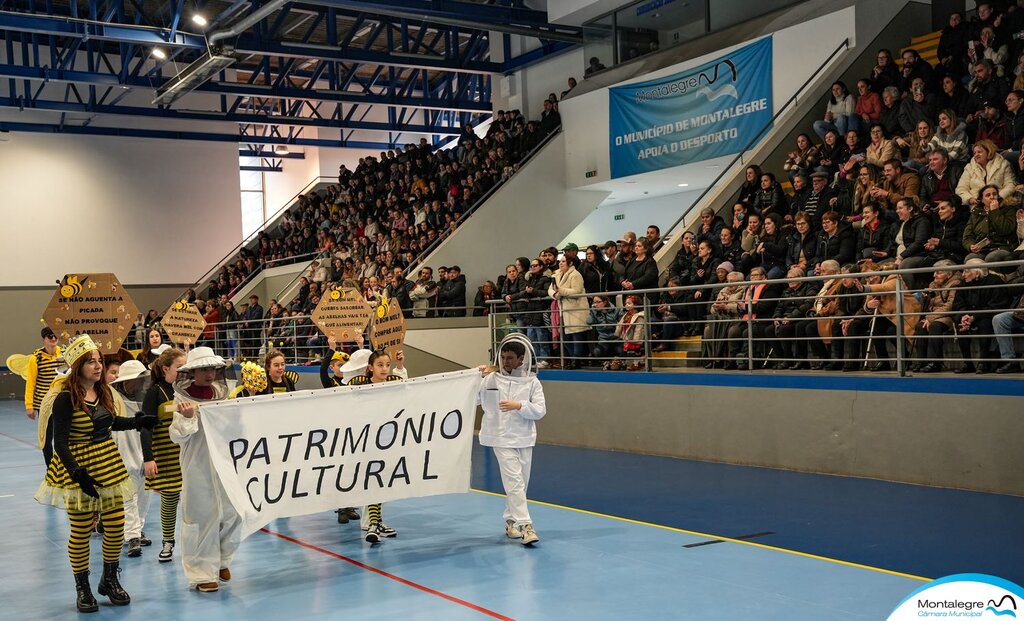 escolas_de_montalegre__carnaval_2024__desfile__20_