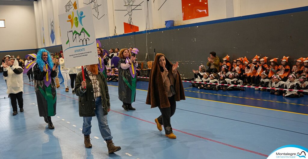 escolas_de_montalegre__carnaval_2024__desfile__36_