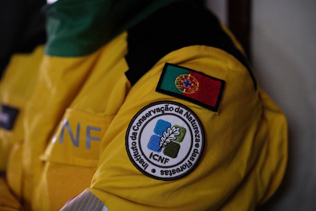 Pitões (PNPG - 53 Anos) 14